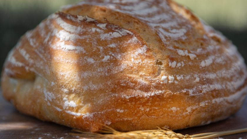 sourdough bread loaf